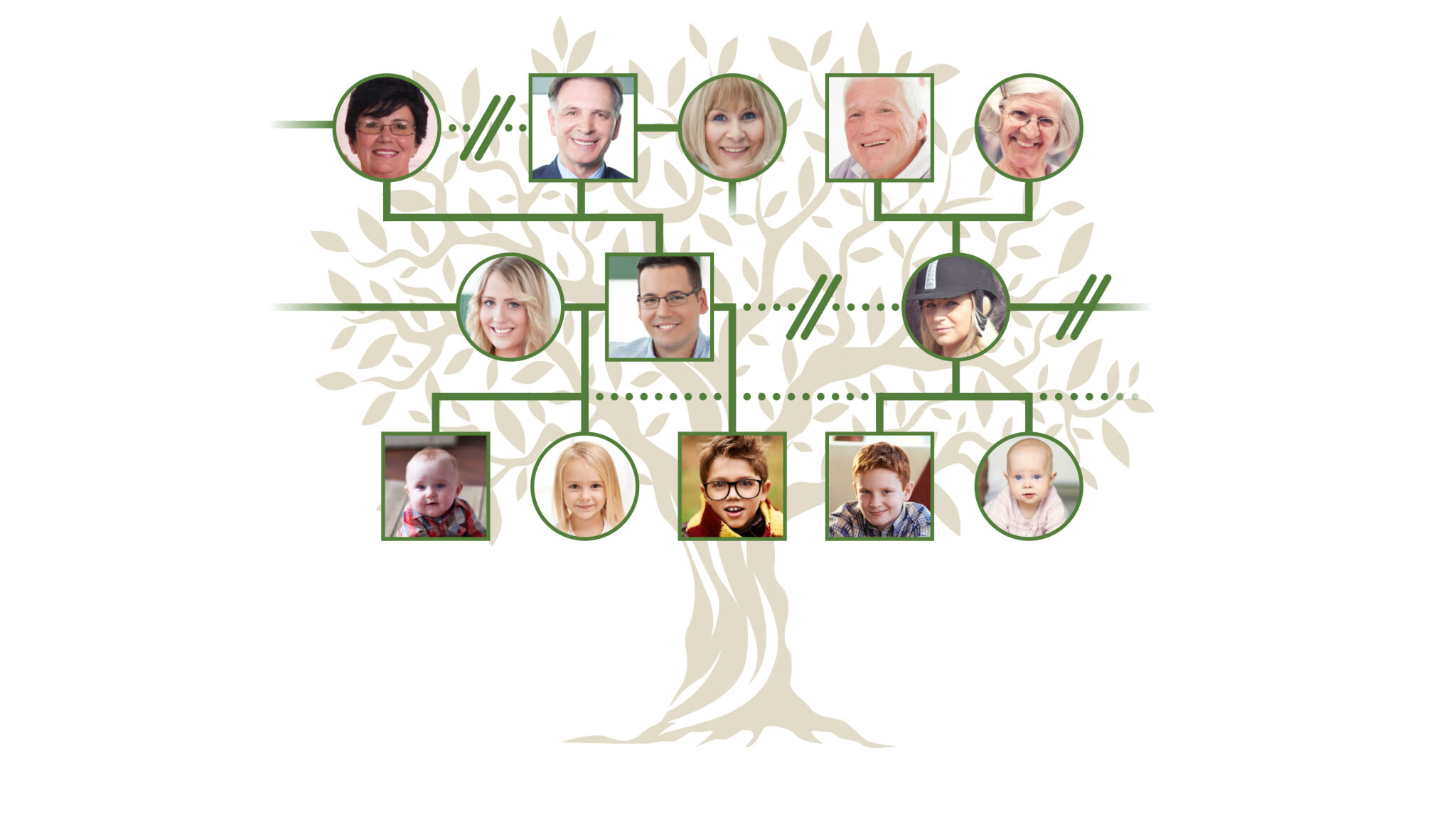 The Tangled Stepfamily Tree TheTrumpet